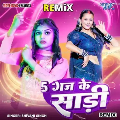 Panch Gaj Ke Saari - Remix - Shivani Singh