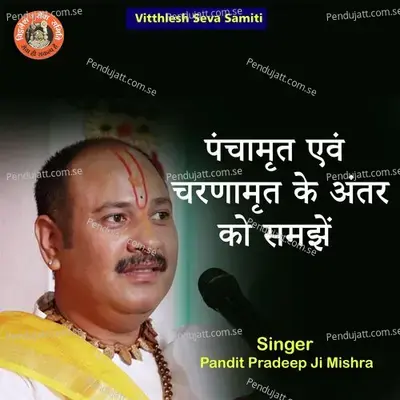 Panchamrit Avm Charnamrit Ke Antar Ko Samjhe - Pandit Pradeep Ji Mishra