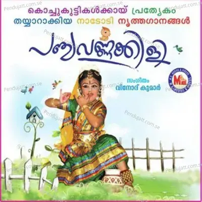 Pooveno Nalla Nalla - Nirmal M. Menon album cover 