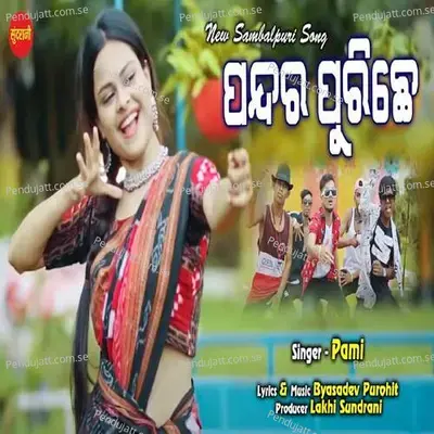 Pandara Purichhe - Pami album cover 