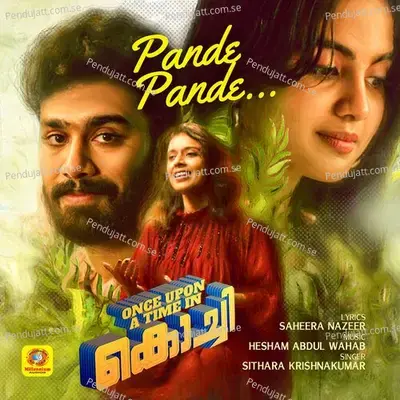 Pande Pande - B K Harinarayanan album cover 