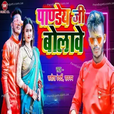 Pandey Ji Bolave - Satish Bedardi album cover 