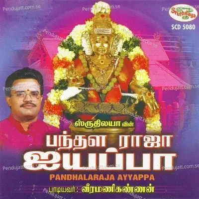 Kaattukullay - Veeramani Kannan album cover 