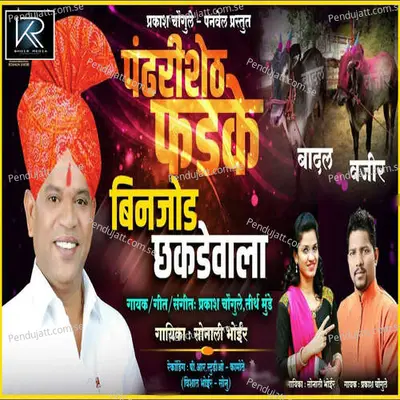 Pandhari Sheth Phadke Vihigharvala Binjod Chakdevala - Sonali Bhoir album cover 