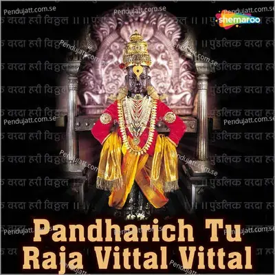 Pandharich Tu Raja Vittal - Amey Date album cover 