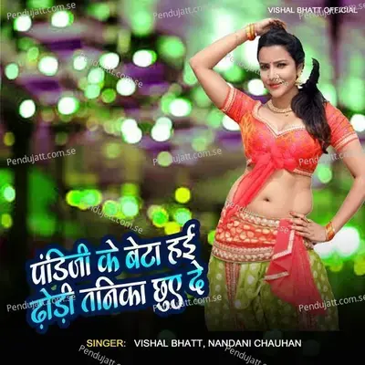 Pandi Ji Ke Beta Hayi Dhodhi Tanika Chuye De - Vishal Bhatt album cover 