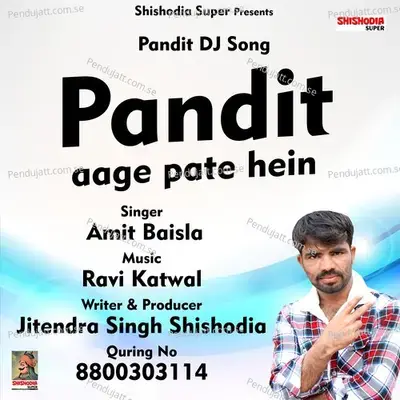 Pandit Aage Pate Hein - Amit Baisla album cover 