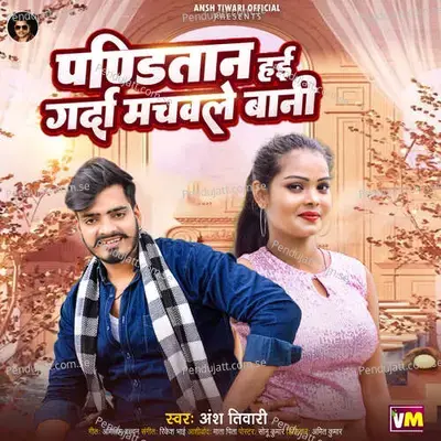 Panditan Haee Garda Machaile Bani - Ansh Tiwari album cover 