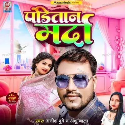 Panditan Marda - Anish Dubey album cover 