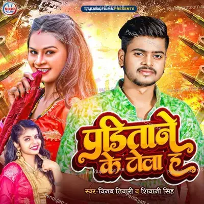 Panditane Ke Tola H - Vinay Tiwari album cover 