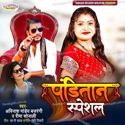 Pandtan Special - Avinash Pandey Bajrangi album cover 