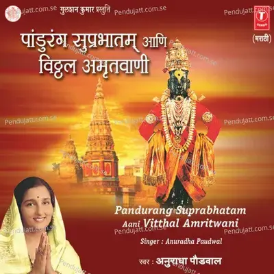 Om Jai Hari Vitthal Namo Namah - Anuradha Paudwal album cover 