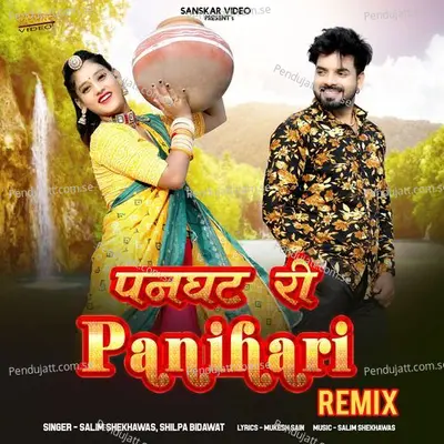 Panghat Ri Panihari Remix - Salim Shekhawas album cover 