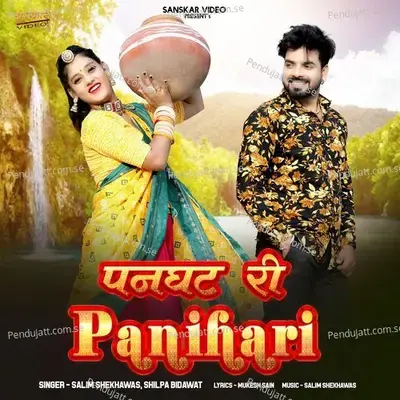 Panghat Ri Panihari - Salim Shekhawas album cover 