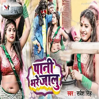 Pani Bhare Jalu - Sarvesh Singh album cover 