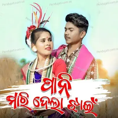 Pani Maridela Jhain - Prakash Jal album cover 