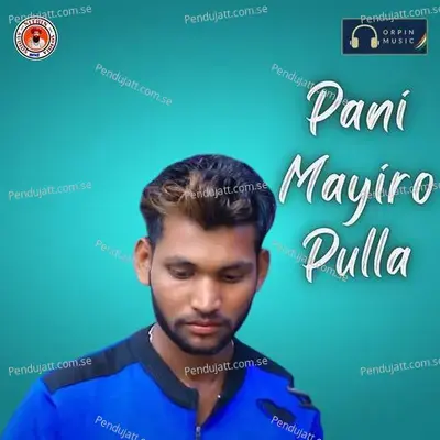 Pani Mayiro Pulla - Srinu album cover 