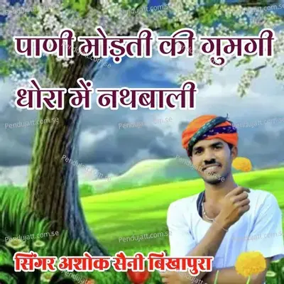 Pani Modati Ki Gumagi Dhora M Nathbali - Ashok Saini album cover 