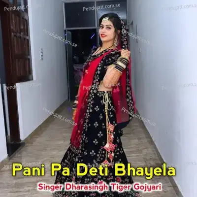 Pani Pa Deti Bhayela - Dharasingh Tiger Gojyari album cover 