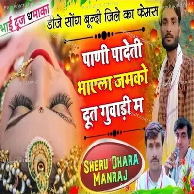 Pani Padwti Bhaela Jamko Dut Guvadi Ma - Hari Singh Baloli album cover 