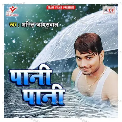 Pani Pani - Anil Jaiswal album cover 