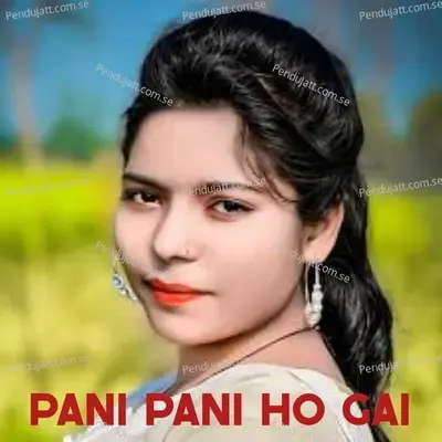 Pani Pani Ho Gai - R RAJKUMAR album cover 