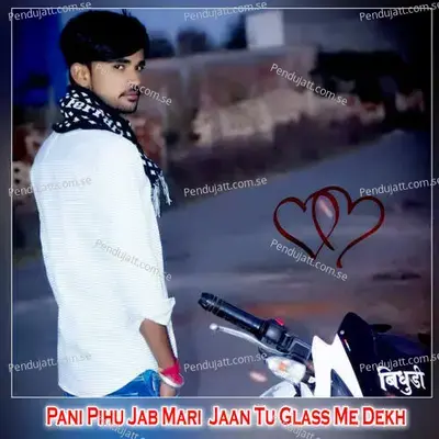 Pani Pihu Jab Mari  Jaan Tu Glass Me Dekh - Shankar Bidhudi