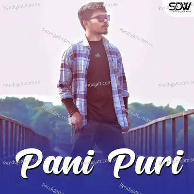 Pani Puri - Anand Hembrom album cover 