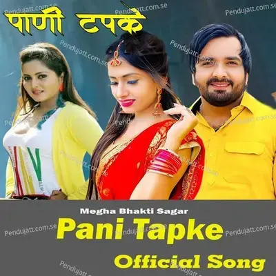 Pani Tapke - Seenam Ketholic album cover 