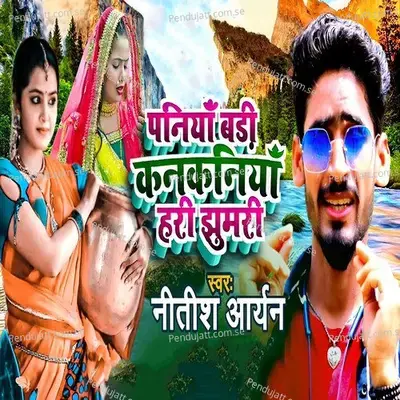 Paniya Badi Kankaniya Hari Jhumari - Nitish Aryan album cover 