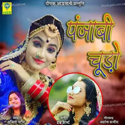Panjabi Chudo - Abhita Patel album cover 