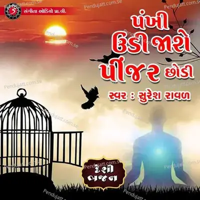 Pankhi Udi Jase Pinjar Chhodi - Suresh Raval album cover 