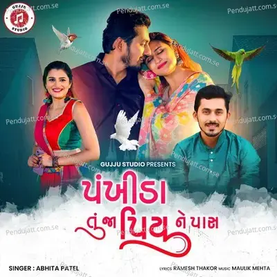 Pankhida Tu Ja Piyu Ne Pass - Abhita Patel album cover 