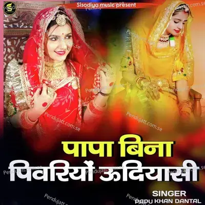 Papa Bina Pivriyo Udiyasi - Papu Khan Dantal album cover 