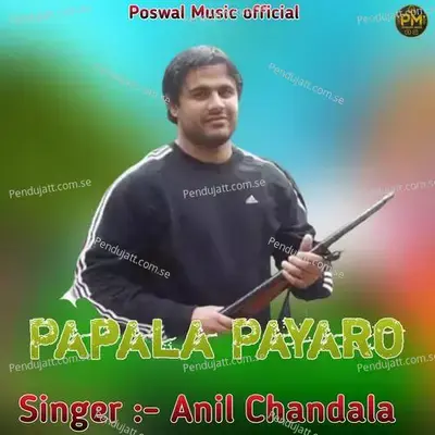 Papala Payaro - Anil Chandala album cover 