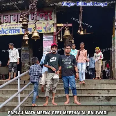 Paplaj Mata Meena Geet Meethalal Baijwadi - Dilkhush Nangal album cover 