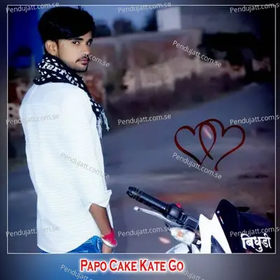 Papo Cake Kate Go - Shankar Bidhudi album cover 