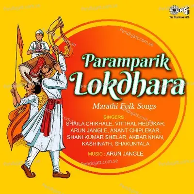 Dhanya Dhanya Dhyas Pandharicha - Anant Chiplekar album cover 