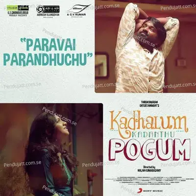 Paravai Parandhuchu - Pragathi Guruprasad album cover 