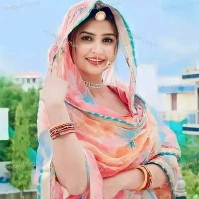 Parayo Dil Aapno Hego - Meenawati King album cover 