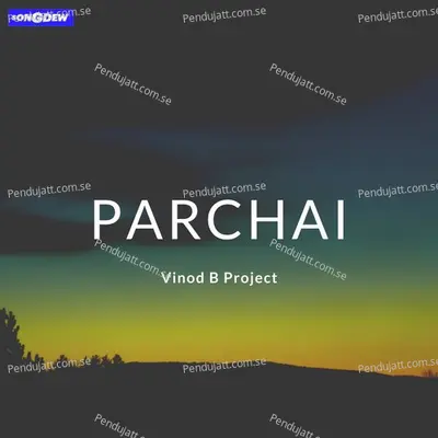 Parchai - Vinod B Project album cover 