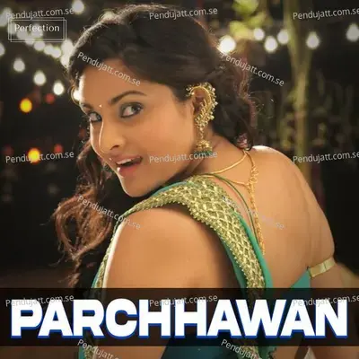 Parchhawan - Radheshyam Rasiya album cover 