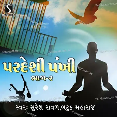 Pardeshi Pankhi  Pt  2 - Suresh Raval cover album