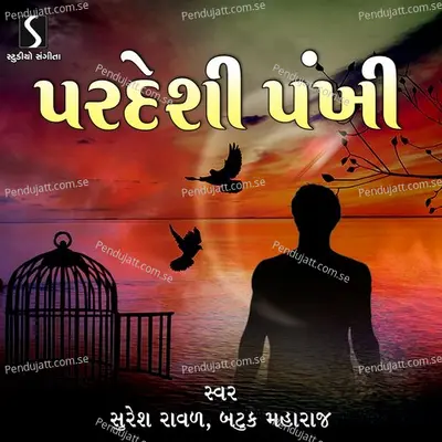 Sati Sitaji - Nathi Re Revanu - Tari Sake To - Sadhu Tero Sangdo - Suresh Raval album cover 