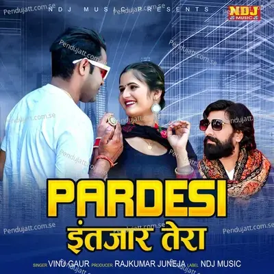 Pardesi Intzaar Tera - Vinu Gaur album cover 