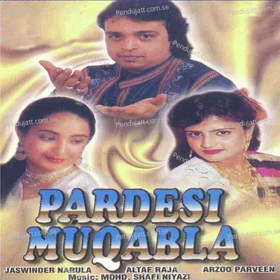 Tune Mujhe Dhoka De Diya-Sawal-Jawab - Altaf Raja album cover 