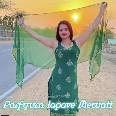 Parfyum Lagave Mewati - Aslam Singer Mewati album cover 