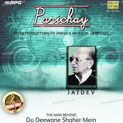 Seene Mein Jalan - Jaidev album cover 