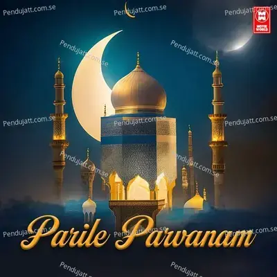 Parile Parvanam - Mansoor Kilinakkode album cover 