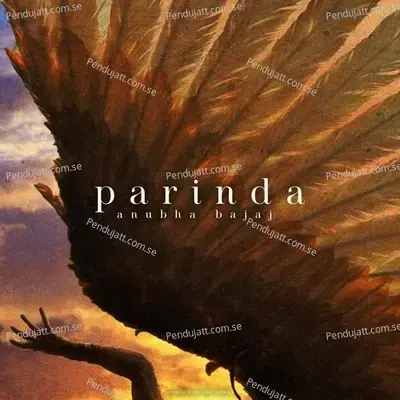 Parinda - Anubha Bajaj album cover 